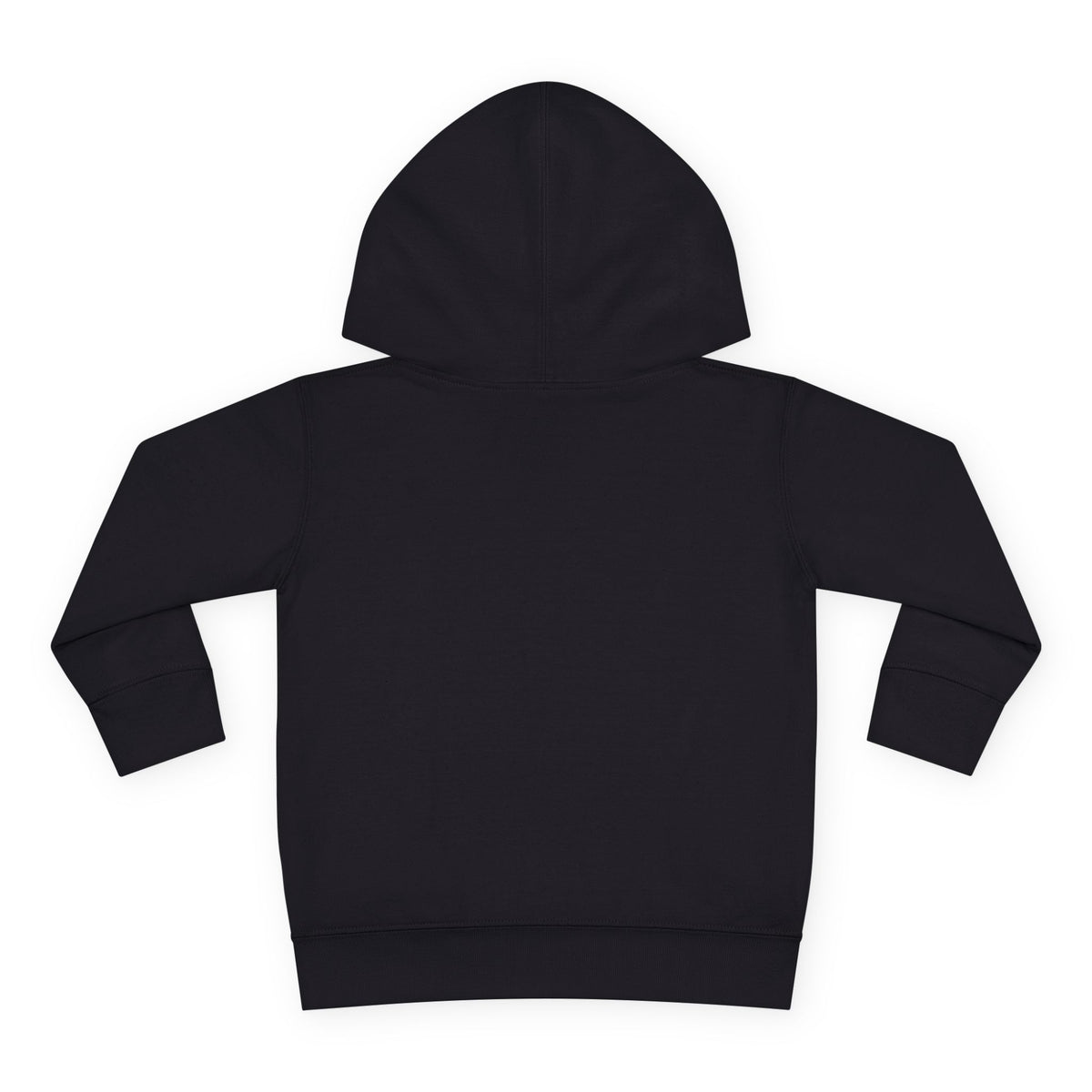 You Never Have to Earn Your Place Toddler Hoodie