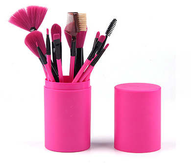 Makeup Brush Set 12 Makeup Brushes With Carrying Container