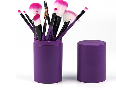 Makeup Brush Set 12 Makeup Brushes With Carrying Container