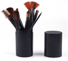 Makeup Brush Set 12 Makeup Brushes With Carrying Container