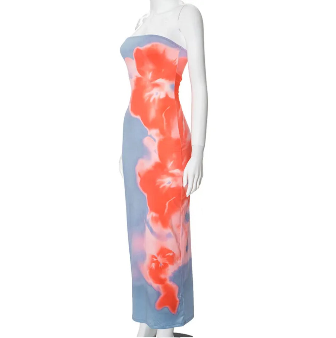 Floral Dream Strapless Maxi Tube Dress 