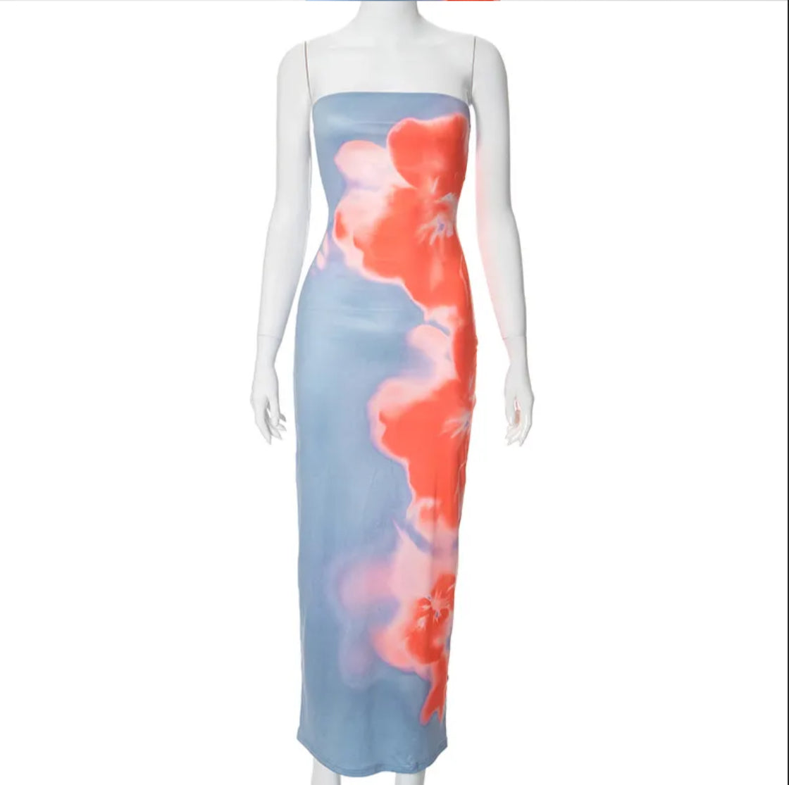 Floral Dream Strapless Maxi Tube Dress 